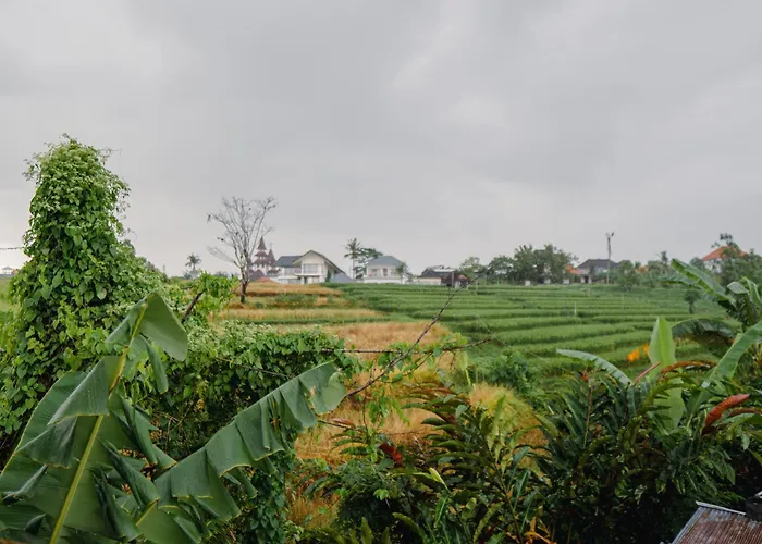 Ricefield View 2 Bedroom Near Canggu Dalung (Bali)