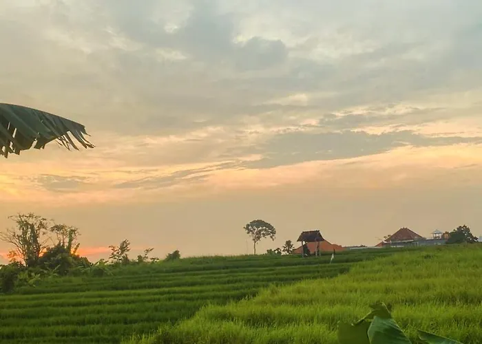 Ricefield View 2 Bedroom Near Canggu Vakantiehuis Dalung (Bali)