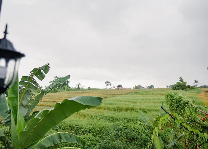 Vakantiehuis Ricefield View 2 Bedroom Near Canggu